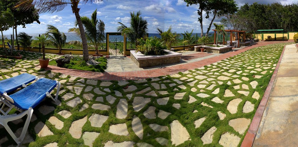 View of El Capitan Garden