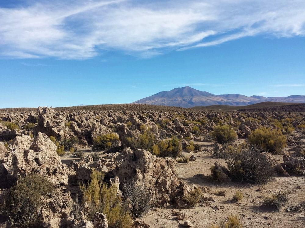 Bolivia Coral Fields