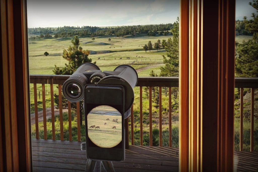 Leupold Binoculars looking at Elk on Ranch